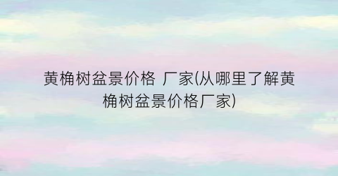 黄桷树盆景价格 厂家(从哪里了解黄桷树盆景价格厂家)